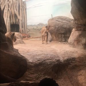 Meet your Posher, Kendra